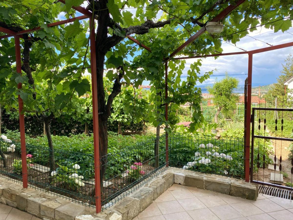 Apartment Gregoric Izola Buitenkant foto