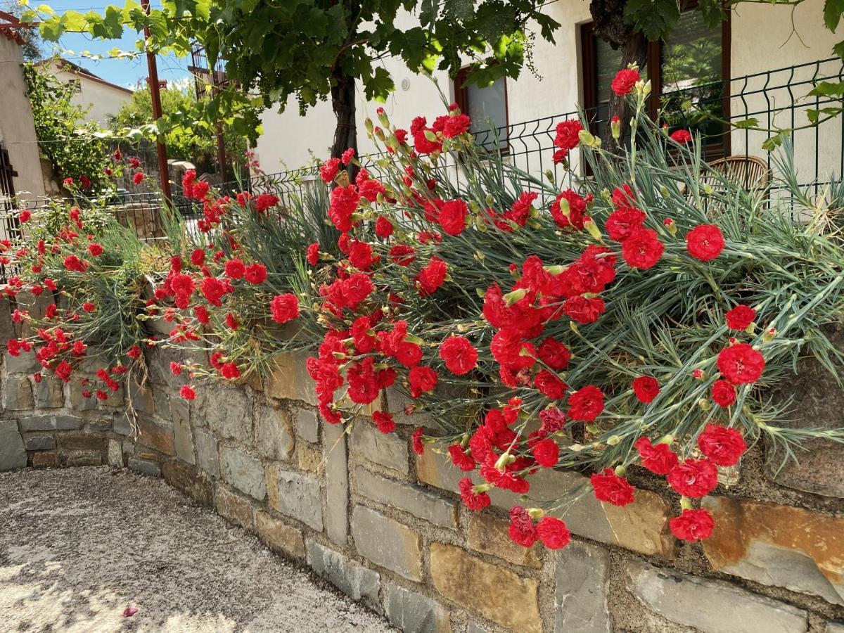 Apartment Gregoric Izola Buitenkant foto