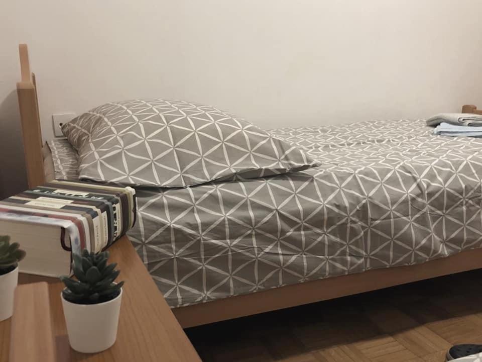 Apartment Gregoric Izola Buitenkant foto